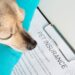 Best Pet Insurance Plans in Singapore