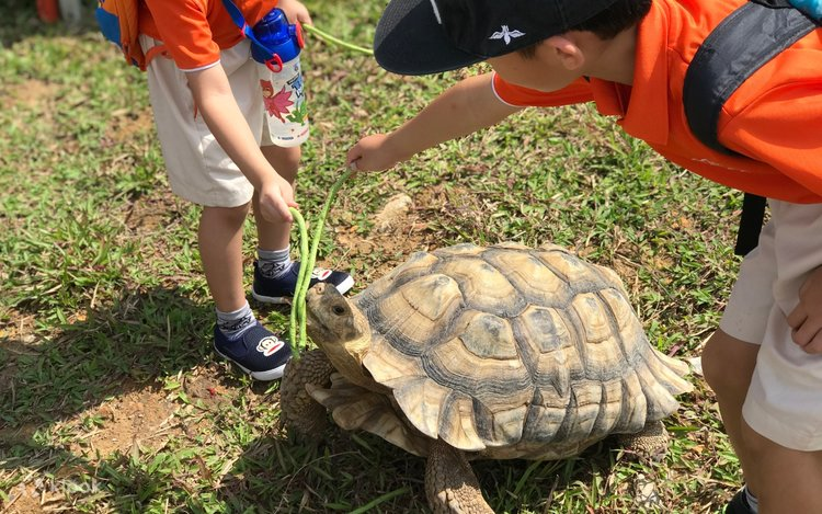 Best Animal Attractions in Singapore for Young Children (2026)